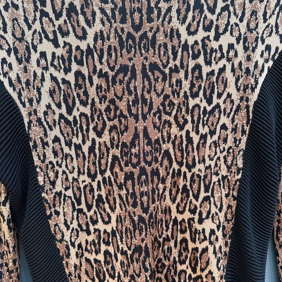 Cache Leopard 2-Piece Suit - Picture 4 of 10